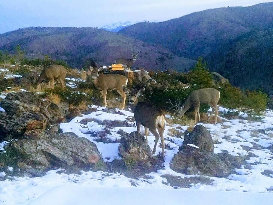Tabernash Secluded Luxury Mountain Retreat With Unrivaled Views 빌라 외부 사진